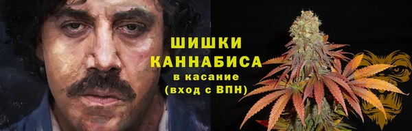 тгк Кукмор