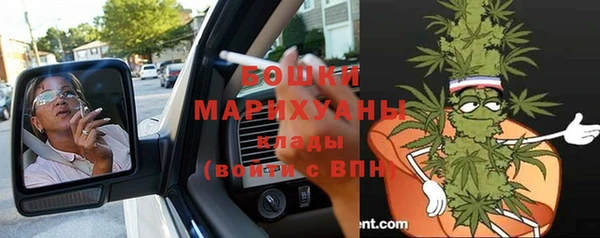 спиды Болотное