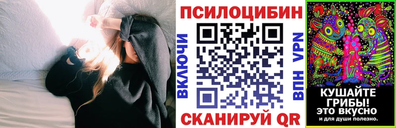 Псилоцибиновые грибы Psilocybine cubensis  Когалым 
